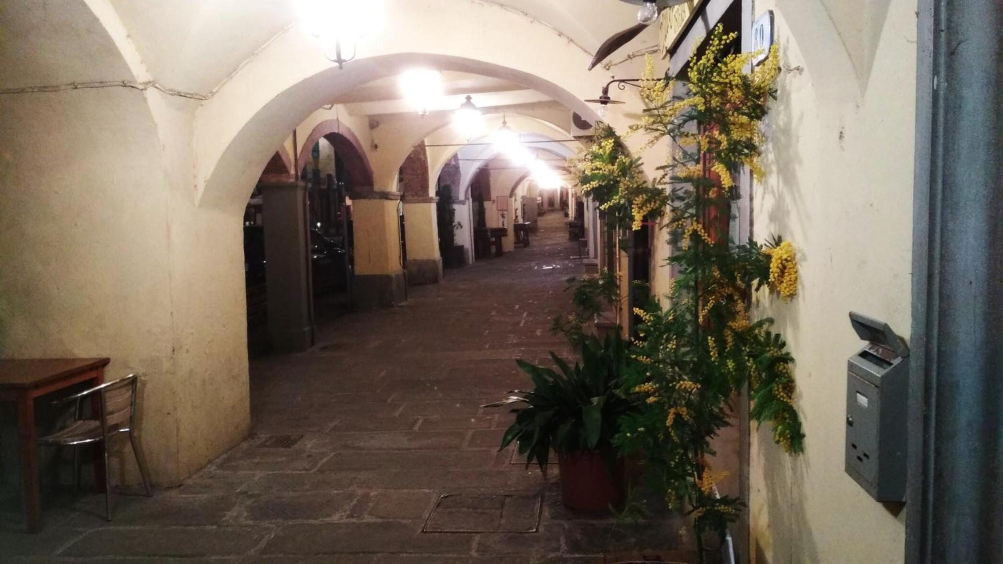 Il Nido Nel Chianti Appartement Greve in Chianti Buitenkant foto